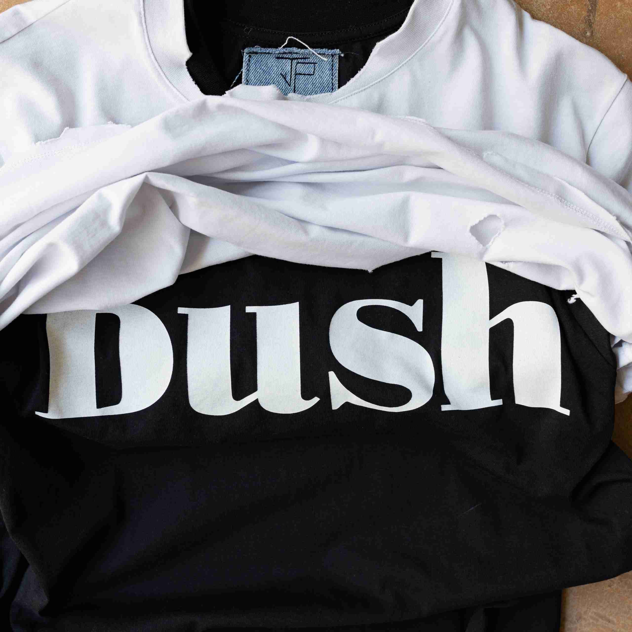 IL FANTASMA NEL BOSCO